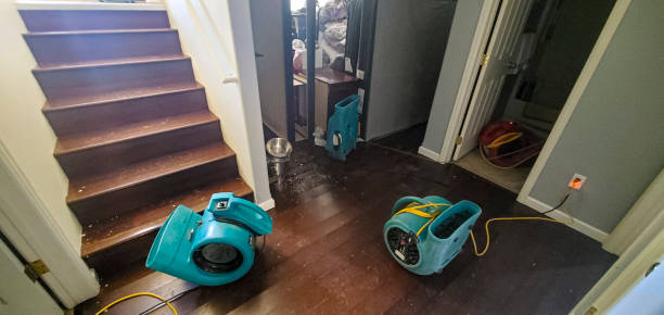 Best Professional water damage repair  in Coatesville, PA