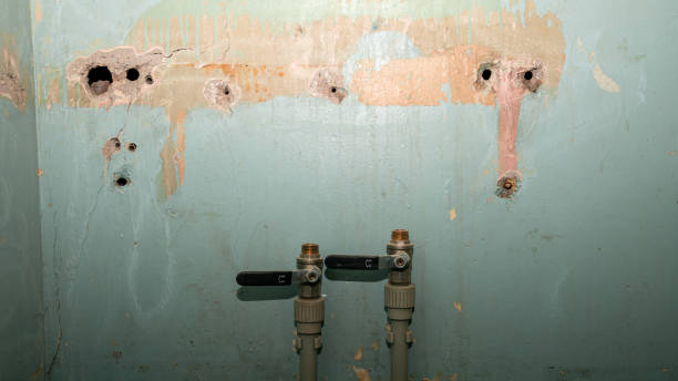 Best Sewage cleanup and water damage restoration  in Coatesville, PA